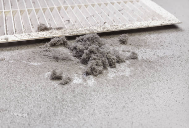 Best Residential Air Duct Cleaning  in Rio Vista, CA